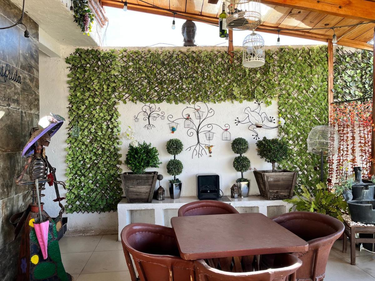 Casona De Aves *