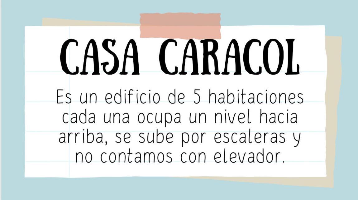 Casa Caracol