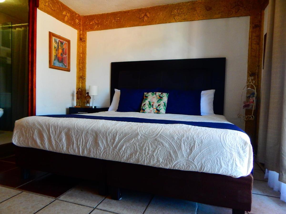Casona De Aves 3*